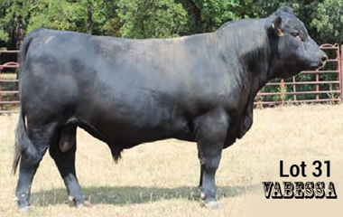 Lot 31 - TJB 914U VALERO 4115C ET